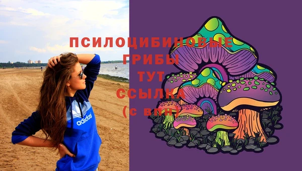 прущие грибы Нефтекумск