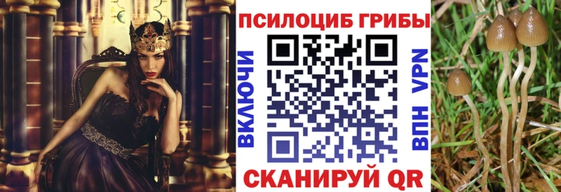Псилоцибиновые грибы Psilocybine cubensis Луза
